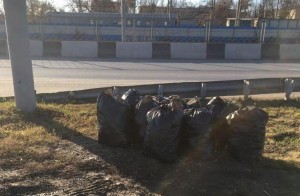Мешки наполненные осенним мусором