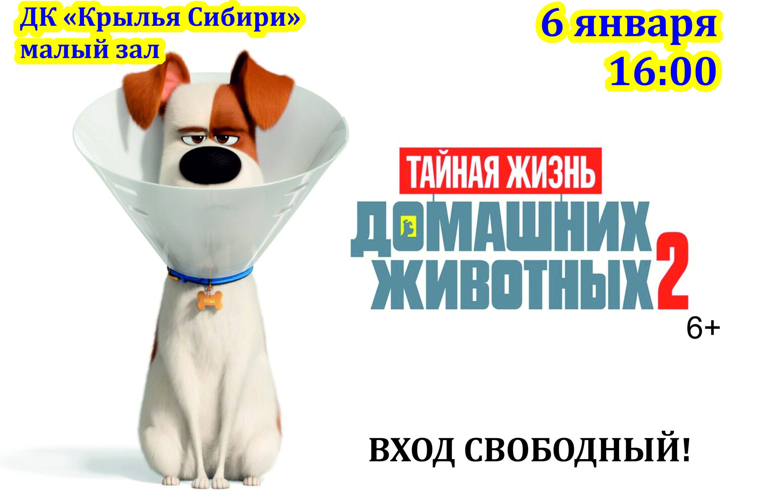 Мультфильм &quot;<b>Тайная</b> <b>жизнь</b> <b>домашних</b> <b>животных</b>&quot; .